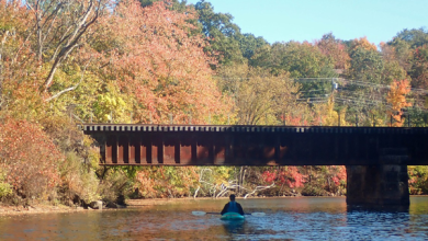 Paddling at the Blackstone Gorge - Blackstone Kayaking and Canoeing Guide