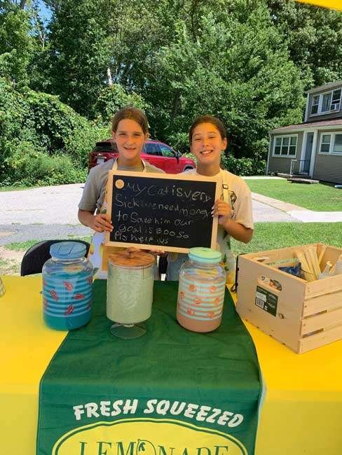 Lemonade stand fundraiser Blackstone MA
