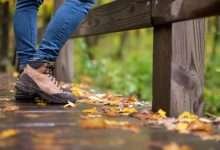 Blackstone Heritage Corridor Guided Hikes