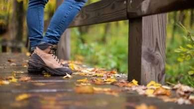 Blackstone Heritage Corridor Guided Hikes